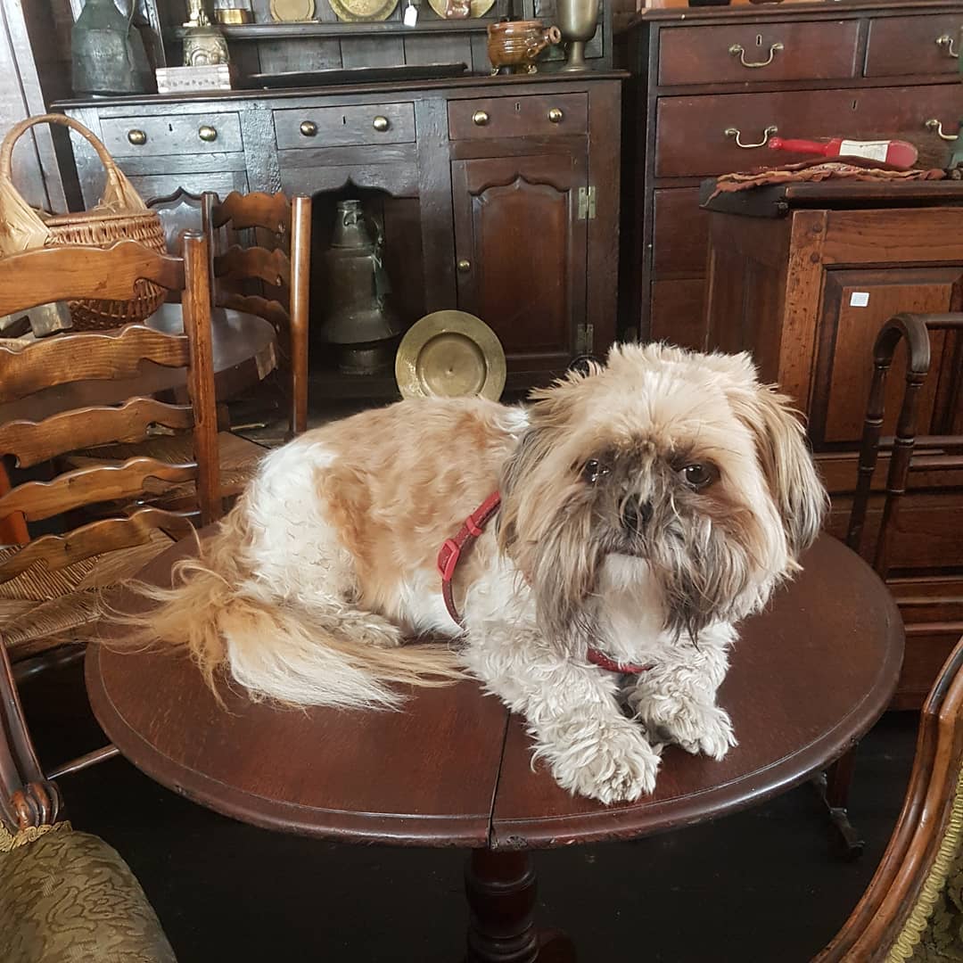 209594019_499577797989181_5974946916688448471_n